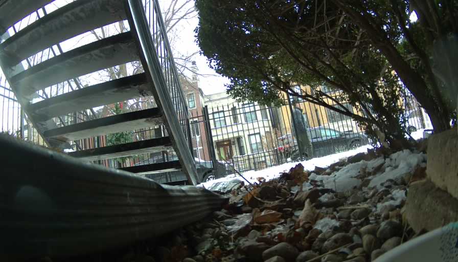 Reolink Camera Two_01_Reolink Home Hub One_20250112124815.jpg